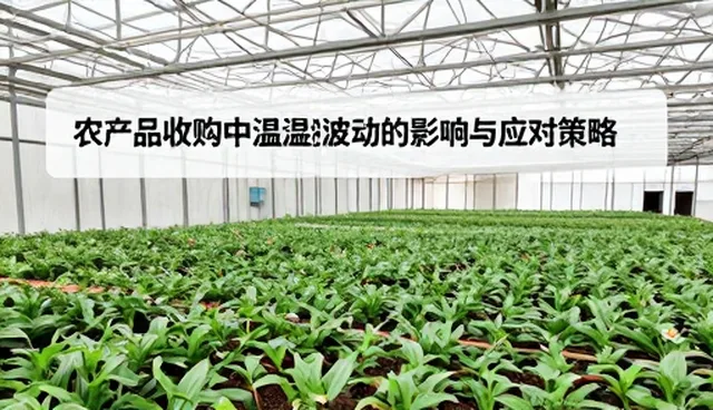 农产品收购中温湿度波动的影响与应对策略